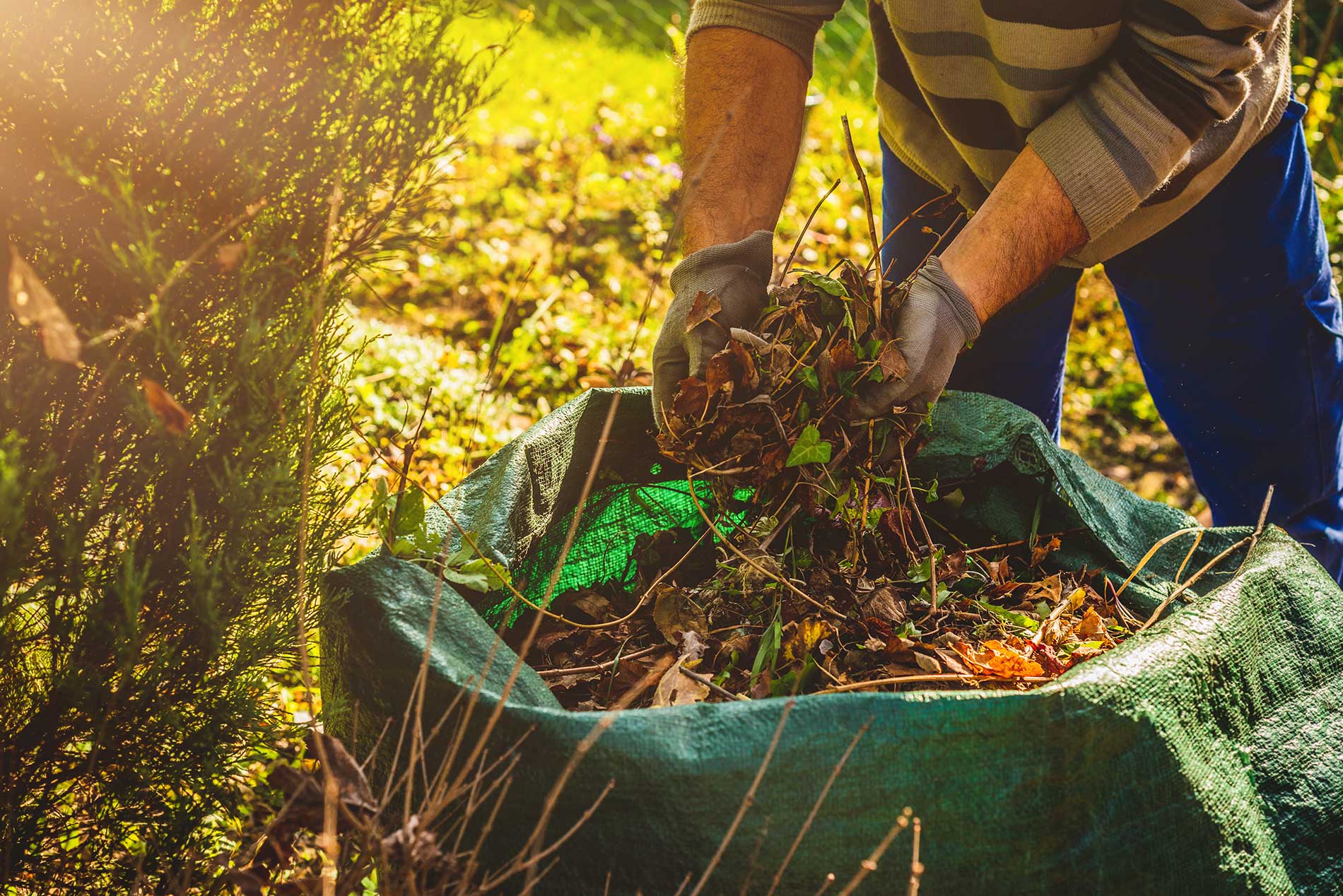 Construction-&-yard-waste-disposal